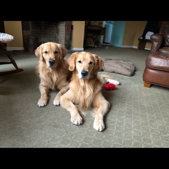 Meet your Posher, Christina - Picture 2 of 8